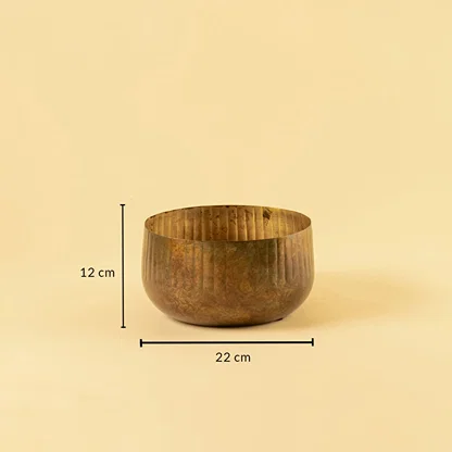 Bronze ribbed bowl planter with 12 cm height and 22 cm width ideal for shelves tables and warm modern decor styling.