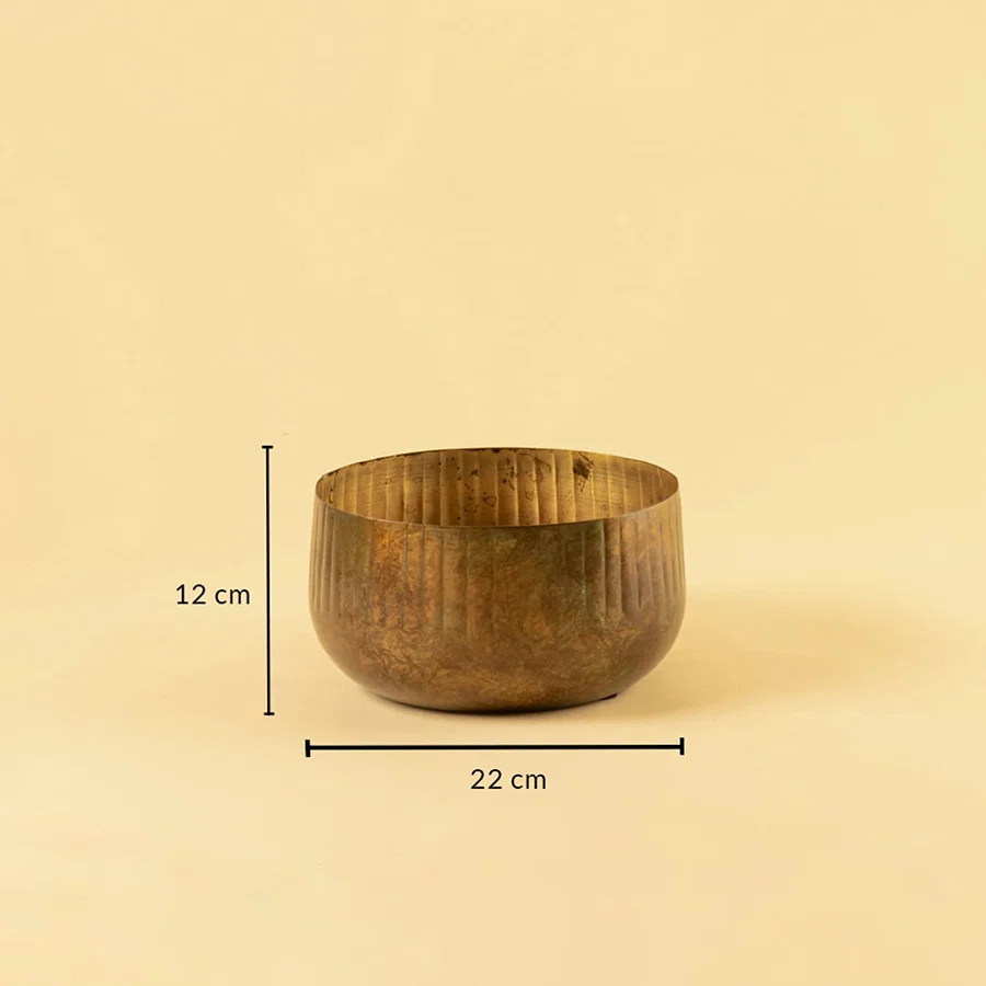 Bronze ribbed bowl planter with 12 cm height and 22 cm width ideal for shelves tables and warm modern decor styling.