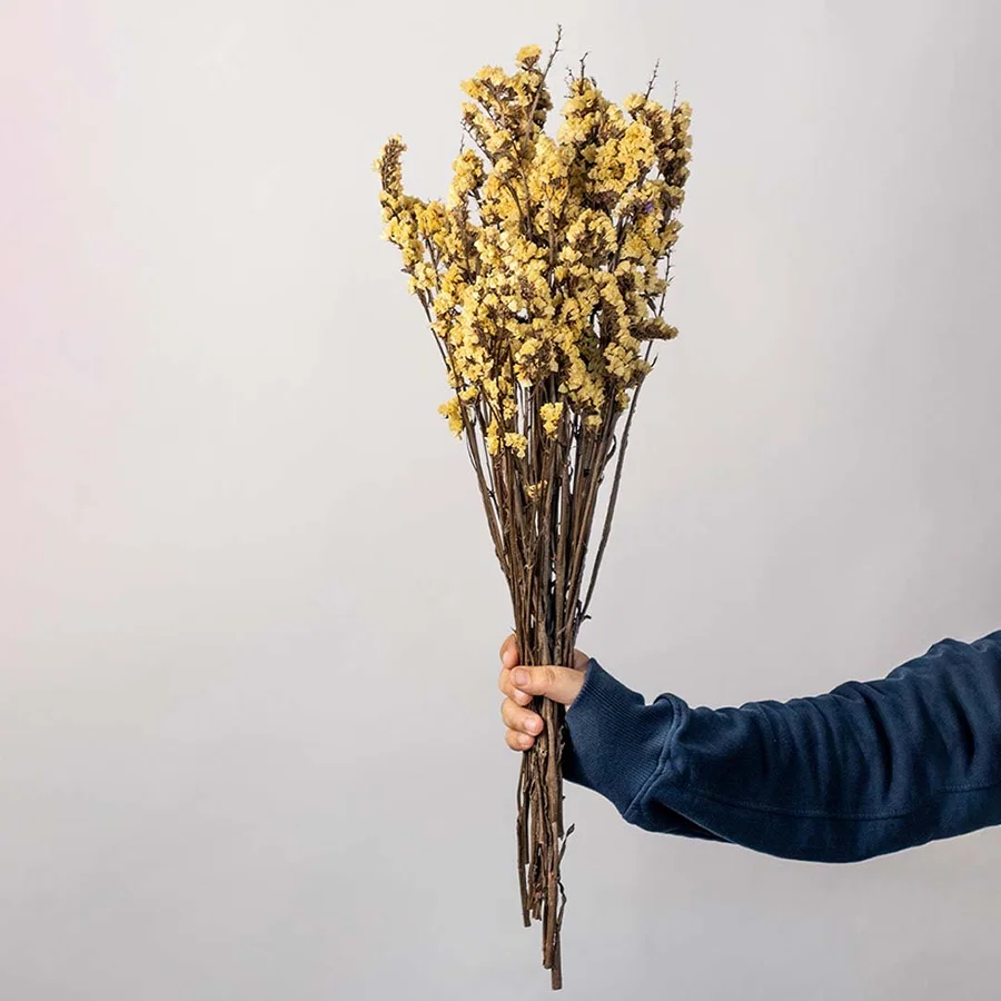 Hand holding mustard yellow dried wildflowers bouquet for rustic farmhouse vase arrangement on white backdrop.