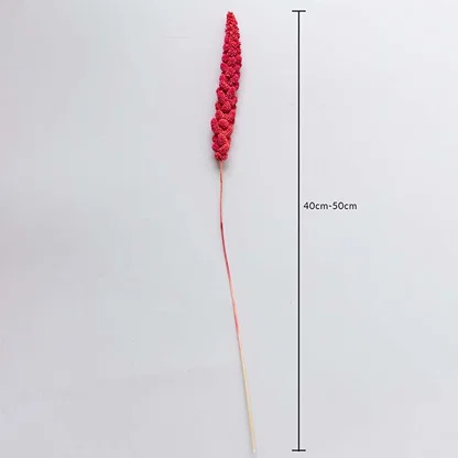 Pink dried millet stem 40-50cm length shown on white background for size dimension natural dried flower decor accent.