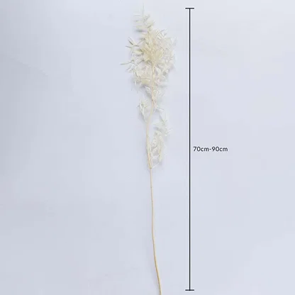 Ivory dried foliage stem on a white background with 70 to 90cm height shown for natural decorative home use.