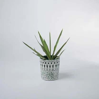 White and teal ceramic planter with geometric pattern styled in a soft minimal setup adding modern charm to home decor.