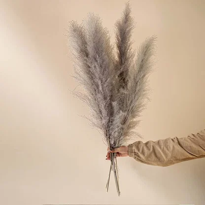 Elegant grey pampas grass bunch displayed on white background perfect for minimalist boho home and event decoration.