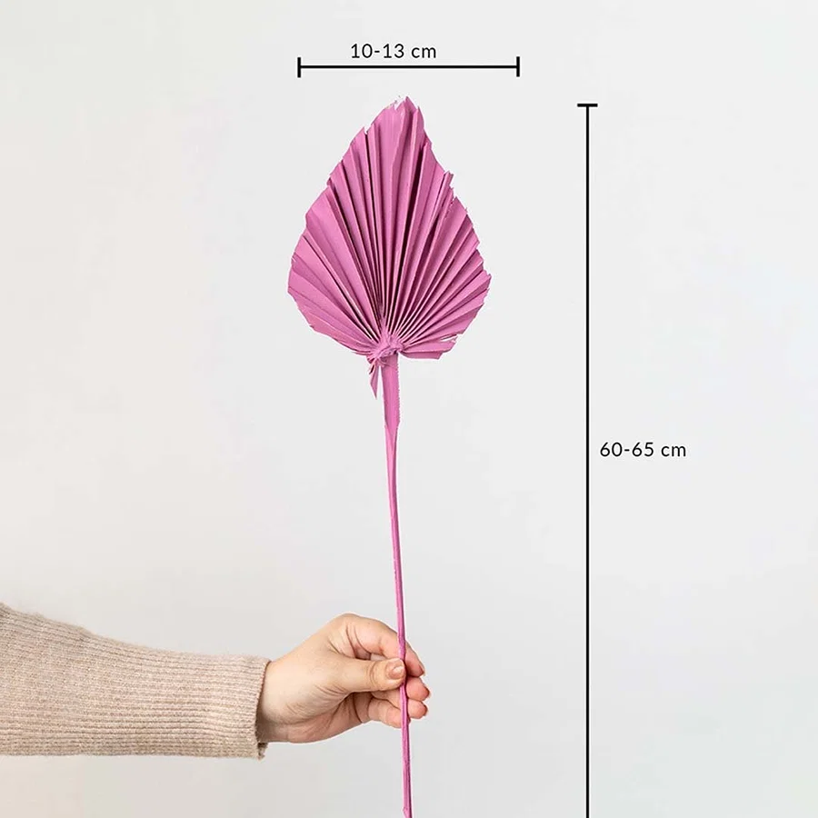 Pink dried palm leaf shown with size dimensions 60 to 65 cm height and 10 to 13 cm width for vase decor.