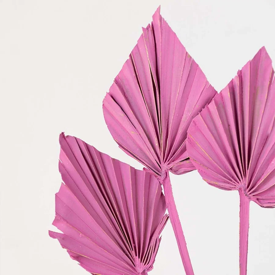 Closeup of pink decorative palm leaf stem with folded fan design highlighting bold color and textured modern decor detail.