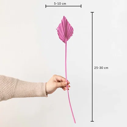Pink dried palm leaf shown with size dimensions 25 to 30 cm height and 5 to 10 cm width for vase decoration.