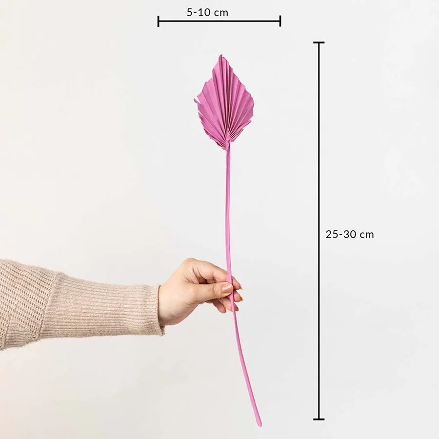 Pink dried palm leaf shown with size dimensions 25 to 30 cm height and 5 to 10 cm width for vase decoration.