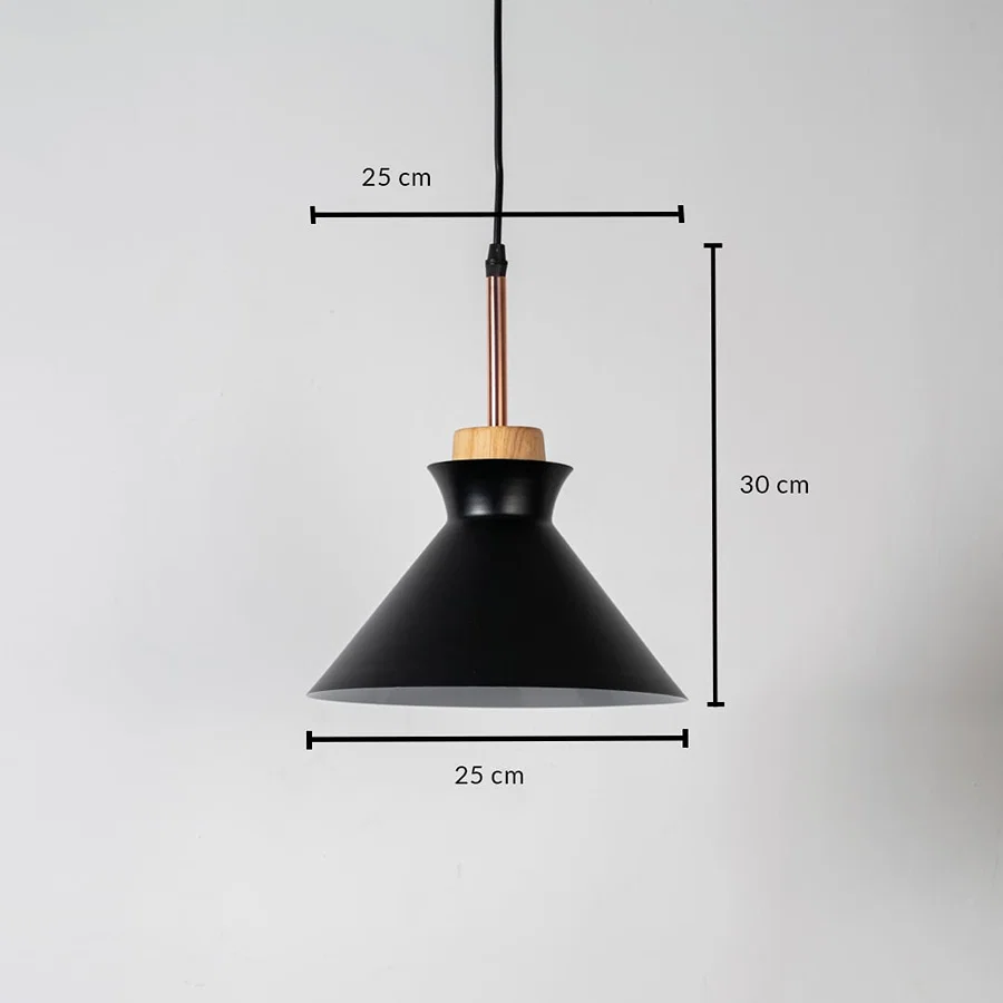 Black metal pendant light measuring 25 cm width and 31 cm height crafted for stylish ceiling lighting decor.
