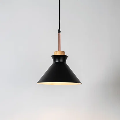 Black metal pendant light with natural wood accents and minimalist dome design for contemporary ceiling lighting decor.