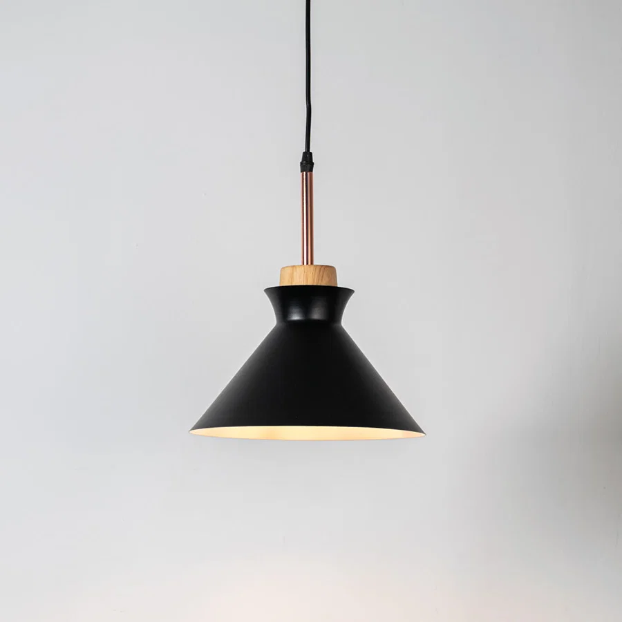 Black metal pendant light with natural wood accents and minimalist dome design for contemporary ceiling lighting decor.