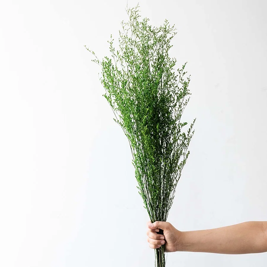 Hand holding a bright green dried caspia wildflower bouquet bundle for rustic kitchen tabletop vase decor on white backdrop.