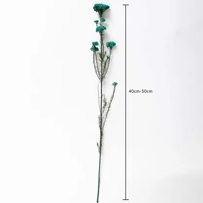 Green dried statice flower stem 40-50cm length displayed on white background for size dimension dried floral decor.