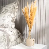 Small Pampas Grass - Beige