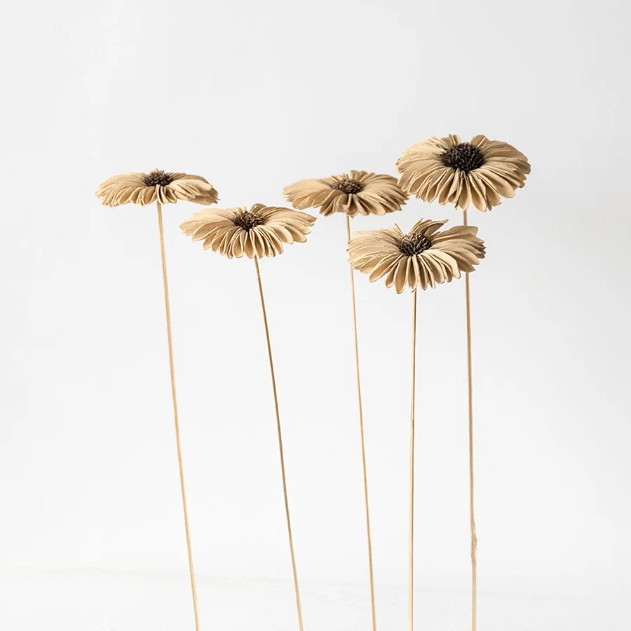 Set of dried flowers with beige petals and brown centers perfect for vase arrangement and natural home decor.