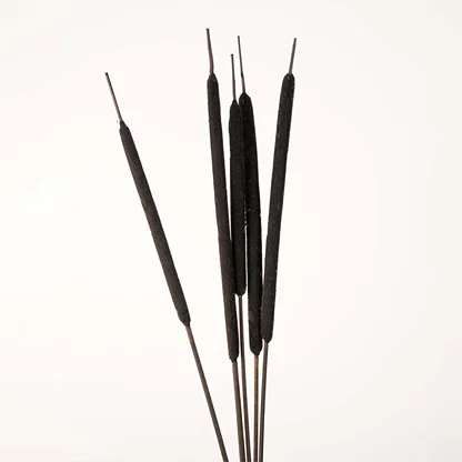 Detailed view of black bulrush stem highlighting smooth texture and natural earthy tone for decorative styling.