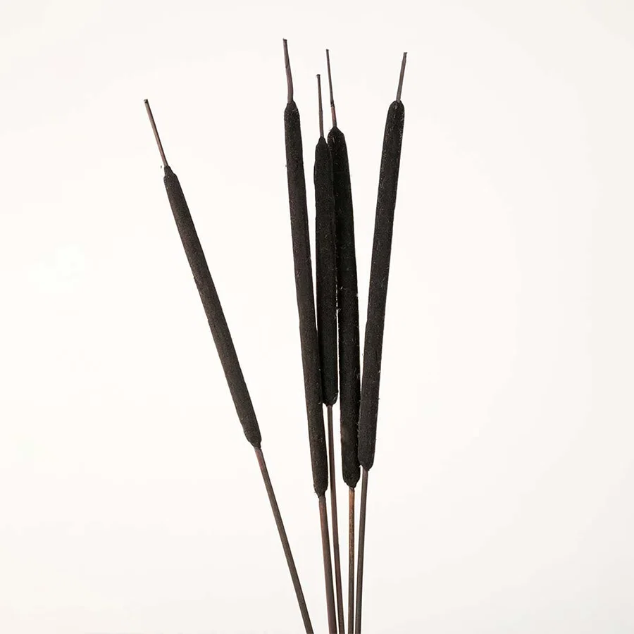 Detailed view of black bulrush stem highlighting smooth texture and natural earthy tone for decorative styling.