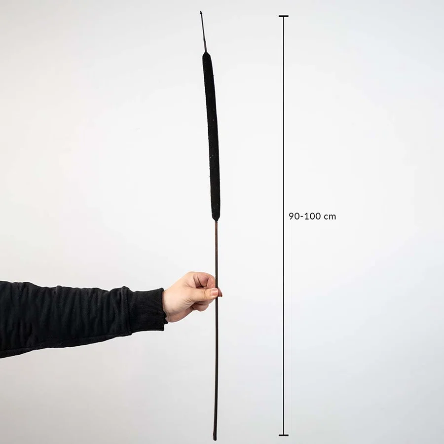 Black bulrush stem measuring 90–100 cm long is ideal for tall vases pampas arrangements and home decor styling.