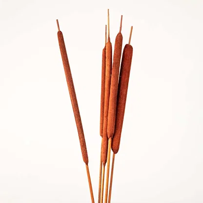 Detailed look at rust cattail stalk highlighting natural texture for elegant home decoration.