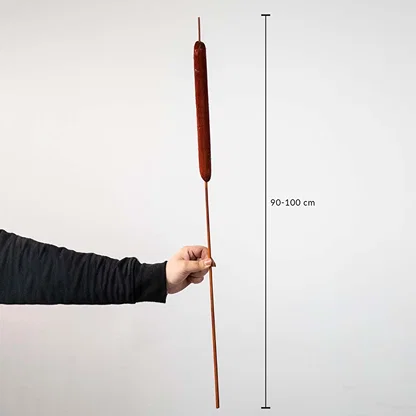 Rust cattail stem shown with size dimensions 90 to 100 cm height for tall floor vase styling.