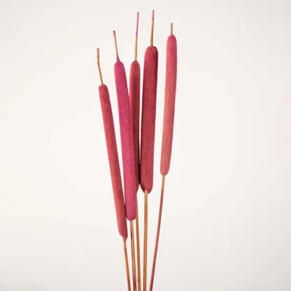 Red cattail dried stem captured in hand closeup highlighting cylindrical floral texture for DIY home styling.