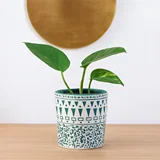 Harley Vase - Medium