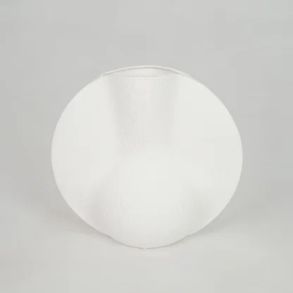 White background image of white ceramic decor plate for modern dining table styling with matte finish.