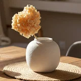 Preserved Hydrangea - Off White