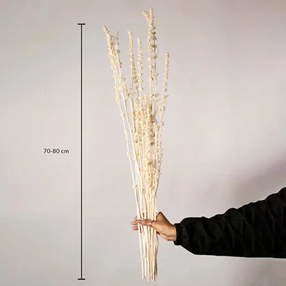 Cream white handmade shaved wood spiral stems showing a seventy to eighty centimeter height measurement on white backdrop.