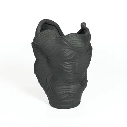 Black ceramic decorative vase with sculptural organic silhouette for artistic tabletop styling and home decor displays.