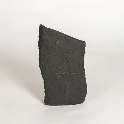 Black ceramic decorative vase with organic sculptural silhouette for contemporary shelf styling and home decor.