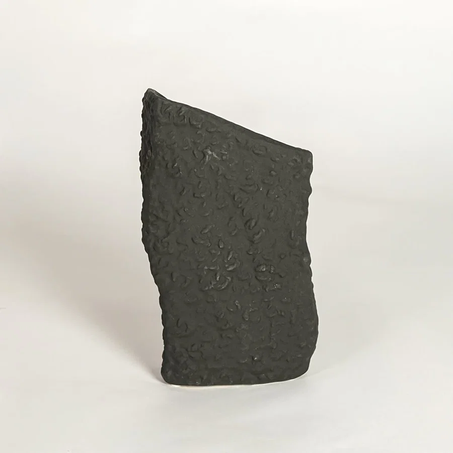 Black ceramic decorative vase with organic sculptural silhouette for contemporary shelf styling and home decor.